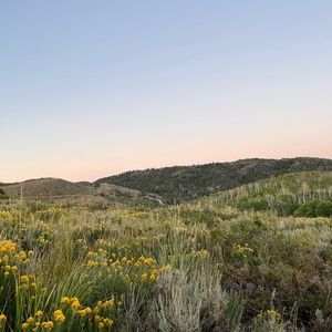 Meet your Posher, Christie